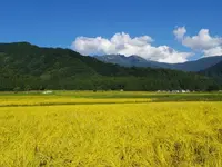 南魚沼市農業体験大学校の写真・動画_image_147930