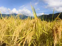 南魚沼市農業体験大学校の写真・動画_image_147934