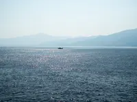 越前・河野しおかぜラインの写真・動画_image_148046