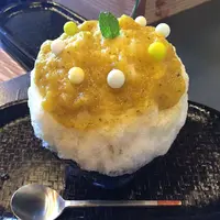 瀬戸内陽だまりかき氷の写真・動画_image_148081