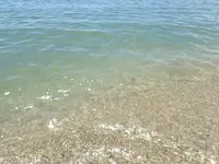 阿万海岸海水浴場の写真・動画_image_148174
