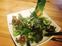 サンクスネイチャー 恵比寿店の写真・動画_image_148180