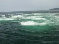 うずしお観潮船の写真・動画_image_148226