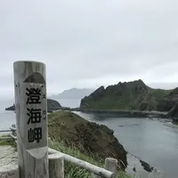 礼文島の写真・動画_image_148266