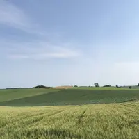 パッチワークの路の写真・動画_image_148300