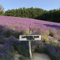 ファーム富田の写真・動画_image_148304