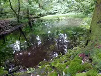 平泉寺白山神社の写真・動画_image_148420