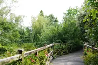 松江イングリッシュガーデンの写真・動画_image_148442