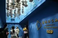 仙台うみの杜水族館の写真・動画_image_148589