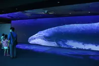 仙台うみの杜水族館の写真・動画_image_148590