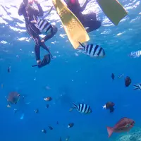 青の洞窟の写真・動画_image_148667