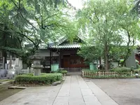 千代の富士銅像の写真・動画_image_148786