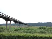 蓬莱橋の写真・動画_image_148831