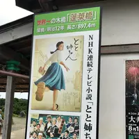 蓬莱橋の写真・動画_image_149129