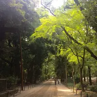 下鴨神社（賀茂御祖神社）の写真・動画_image_149364