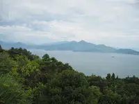 ソンチャ半島の写真・動画_image_149428