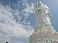 ソンチャ半島の写真・動画_image_149430