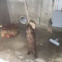 【閉業】京急油壺マリンパークの写真・動画_image_149440