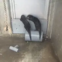 【閉業】京急油壺マリンパークの写真・動画_image_149441