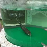 【閉業】京急油壺マリンパークの写真・動画_image_149442