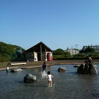 中井中央公園の写真・動画_image_149587
