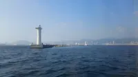 神戸港中突堤中央ターミナルかもめりあの写真・動画_image_149599