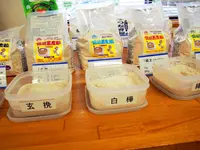 諏訪そば打ち道場の写真・動画_image_149628