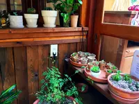 八ヶ岳ベースキャンプ BaseCampの写真・動画_image_149636