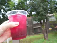 江戸東京たてもの園の写真・動画_image_149772