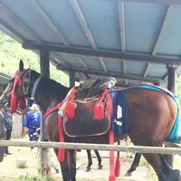 雲雀ヶ原祭場地の写真・動画_image_149798