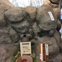 関所の湯の写真・動画_image_149819