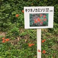 龍門の滝の写真・動画_image_149847