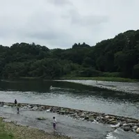 大瀬観光やなの写真・動画_image_149850