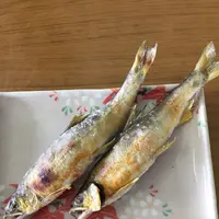 大瀬観光やなの写真・動画_image_149853