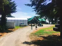 ひつじやの写真・動画_image_149887