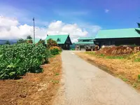 ひつじやの写真・動画_image_149889