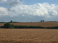 パッチワークの路の写真・動画_image_149940