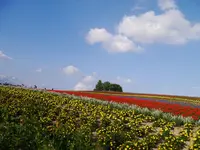 かんのファームの写真・動画_image_149943