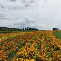 フラワーランドかみふらのの写真・動画_image_149957