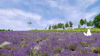 【閉業】彩香の里の写真・動画_image_149960