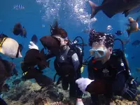 マリン・サポート・タイド(MARINE・SUPPORT・TIDE)の写真・動画_image_149993