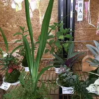 だいご味らんどの写真・動画_image_150008