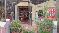 立花通り（オレンジストリート）の写真・動画_image_150452