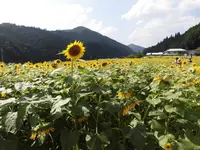 南光ひまわり館の写真・動画_image_150621