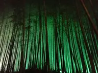 武雄神社（武雄五社大明神）の写真・動画_image_150644