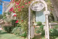 Cream Potの写真・動画_image_150660