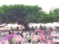 ハウ ツリー ラナイの写真・動画_image_150720