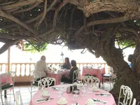 ハウ ツリー ラナイの写真・動画_image_150721