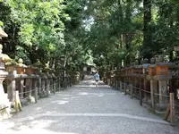 春日大社の写真・動画_image_150779