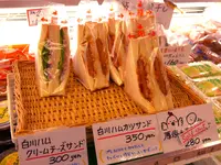 道の駅 美濃白川 ふるさと館 ピアチェーレの写真・動画_image_151004